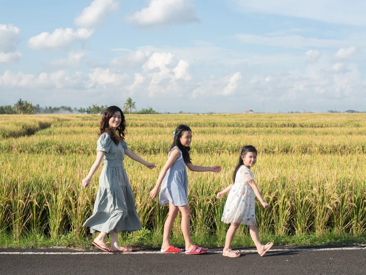 Rice Fields to Sunset photograph 1